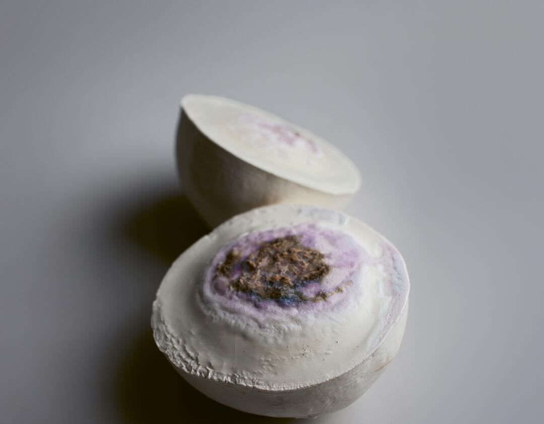 Paula Gehring, Rote Bete, 2026 / Foto Paula Gehring